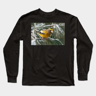 Evenimg Grosbeak Long Sleeve T-Shirt